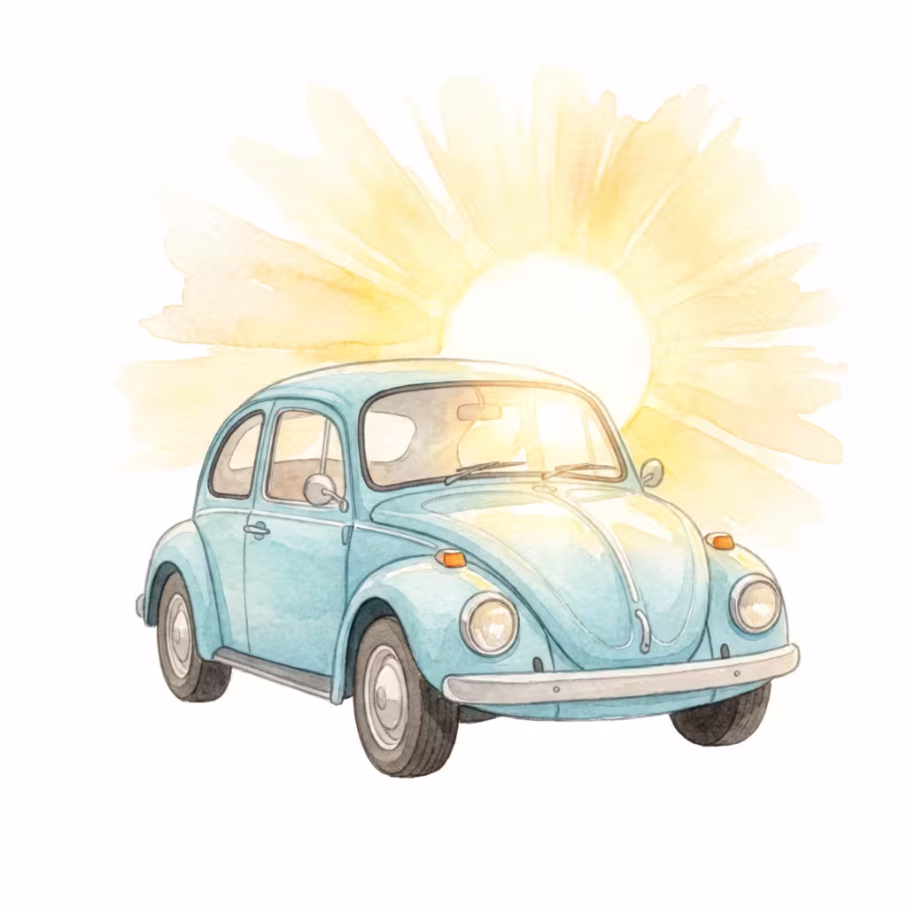 התמודדות עם סנוור