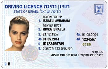 התמונה מציגה דוגמה של רישיון נהיגה ישראלי. בצד ימין של הרישיון מופיע הכיתוב "נהג חדש".